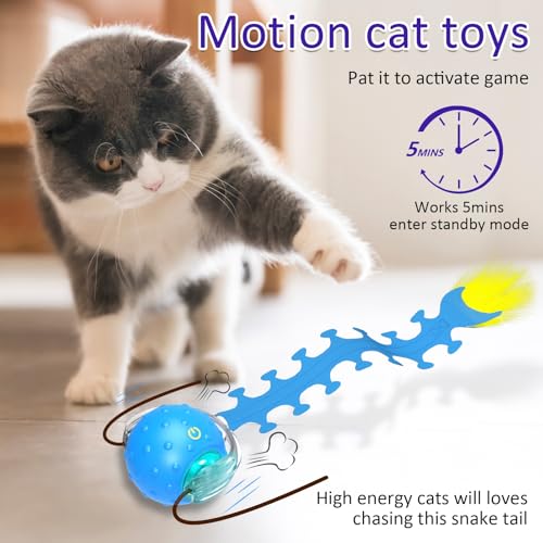 Giociv Interactive Cat Toys Ball for Indoor Cats Fast Rolling on Carpet, Chirping & Motion Activate Cat Toys (Blue Centipede)
