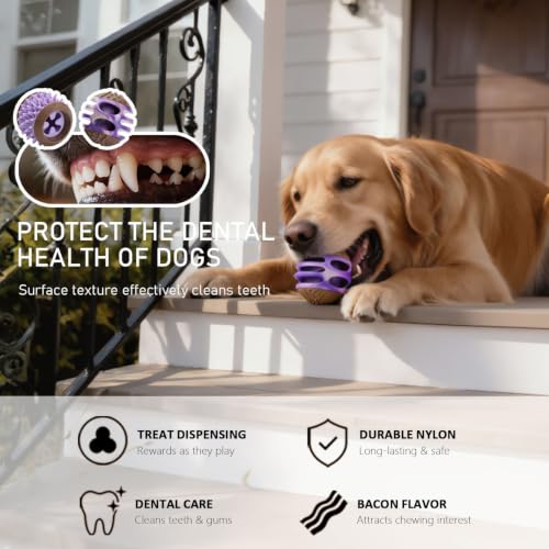 MECOOL 2PCS Durable Dog Chew Toys, Squeaky Chew Ball & Treat Dispensing Toy, Tough Nylon Ends & Natural Rubber for Aggressive Chewers, Interactive Puzzle Toys for All Breed Dogs,Bacon Flavored,Purple - color: Purple