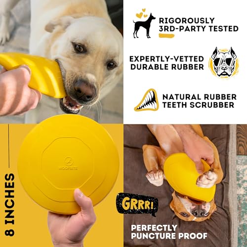 "Indestructible Dog Disc - Lifetime Replacement - Medium & Large Breed - Ultra Durable for Aggressive Chewers - Tough & Strong, Heavy Duty Natural Rubber Toy - Fetch, Tug, & Chew - 8in