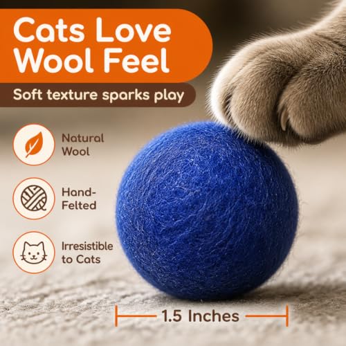 Wool Cat Toy - Felted Wool Rainbow Squid