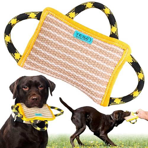 YES4QUALITY Dog Bite Pillow & Outdoor Bungee Hanging Toy Bundle
