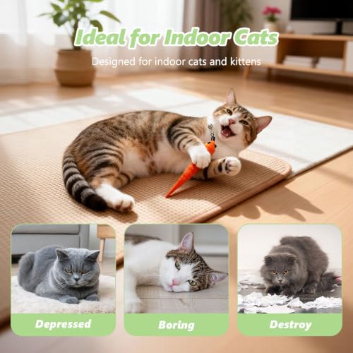 Cat Wand Refills, Interactive Cat Toys Replacement with Feather, Worm, Ribbon, Caterpillar, Butterfly Attachments, Retractable Cat Teaser Wand Refill (Feather+String 10 Pack) - color: Feather+String 10 Pack
