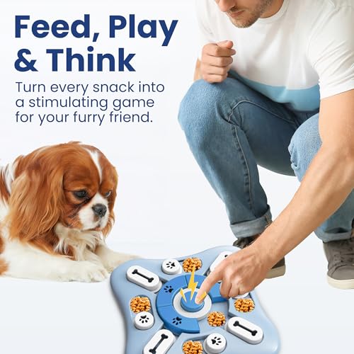 PAWSPIK Interactive Treat Dispensing Puzzle Dog Toy, Light Blue - color: Light Blue