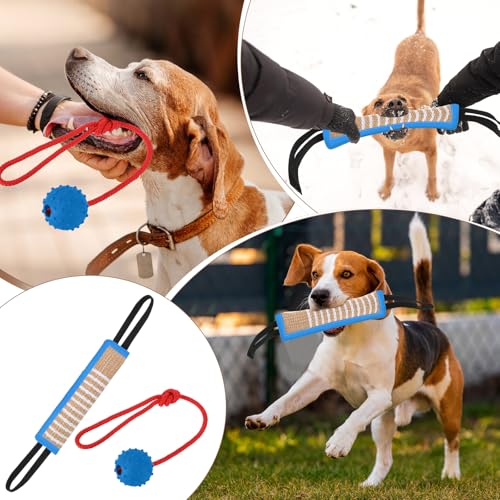 Leyndo 4 Pcs Dog Training Sleeve Set with Tug Pillow Stick Ball, Blue - color: as shown on the picture