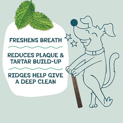 Shameless Pets Blueberry & Mint Dental Chews for Dogs, 8 Chews - size: 7.2 Ounce (Pack of 1)