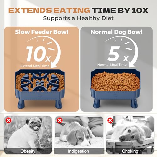 UPSKY Slow Feeder Dog Bowl with Raised Design for Healthy Eating Blue