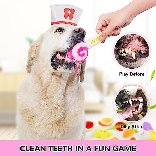 LEGEND SANDY Dog Squeaky Toys, Plush Small Dog Toys for Dogs, Stuffed with Squeakers,14 pcs Puppy Toys with a Carrying Bag for Small Medium Size - color: 14 Pack Multicolor Animals