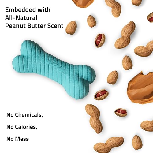 Playology Dual Layer Bone Dog Chew Toy - Jumbo, Peanut Butter Scent - size: Jumbo, style: Peanut Butter