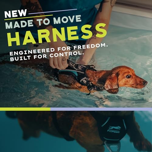 FitPaws® Made to Move® No-Pull Dog Harness, Neck Buckle, Black, Medium - color: Black, size: Medium