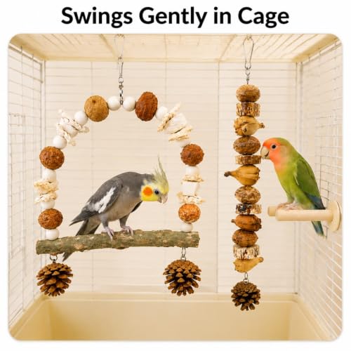 2 Pack Natural Bird Toys for Parakeets, Bird Chew Toys with Wooden Perch HangingToy, Natural Wood Beads, Pine Cone, Corn Husk, Cuttlebone and Fruit Materials for Budgies, Cockatiels and Small Parrots