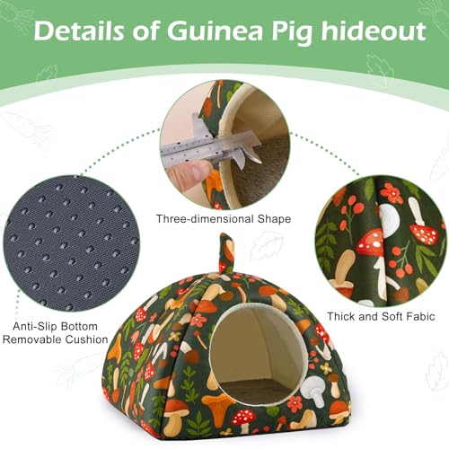 Bienbee Guinea Pig Hideout, 2 Piece Washable Set for Small Animals Large - color: Green Mushroom, size: Large(9.4"L x 9.4"W x 7.9"H)