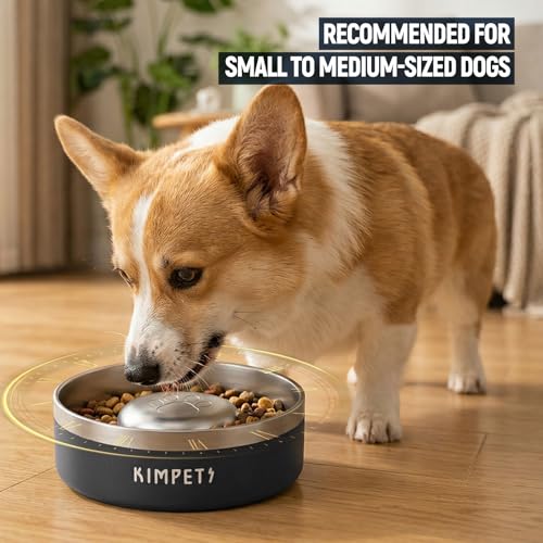 Dog Slow Feeder Bowls Food-Grade 304 Stainless Steel Dog Slow Feeder Bowl Double Wall Heavy Duty Non-Slip Rubber Base 2 Cups Capacity for Small Medium Dogs- Black - color: Black