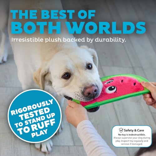 Outward Hound Tough Skinz Durable Chew Squeaky Dog Toy, Watermelon, 9.8" - color: Watermelon, size: Medium