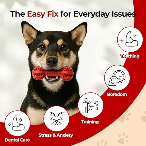 JAYU PET Dog Chew Toy Toothbrush for Small & Medium Dogs