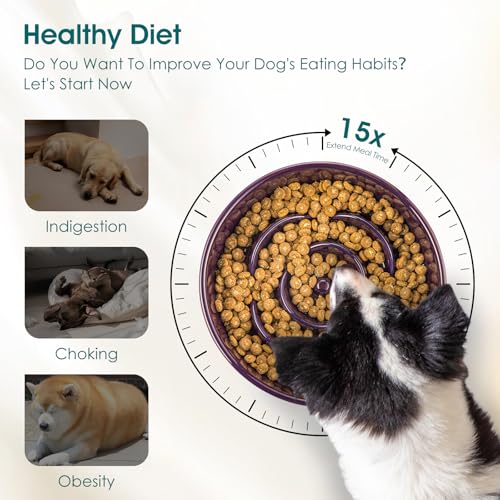 vancasso Slow Feeder Dog Bowl, 3 Cups Ceramic Puzzle Dish for Large Breed - color: Dark Purple, size: L - 3 Cups