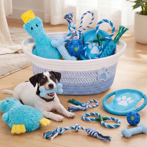 Zopeal Dog Toy Gift Basket Set for Puppy Birthday, Blue - color: Blue