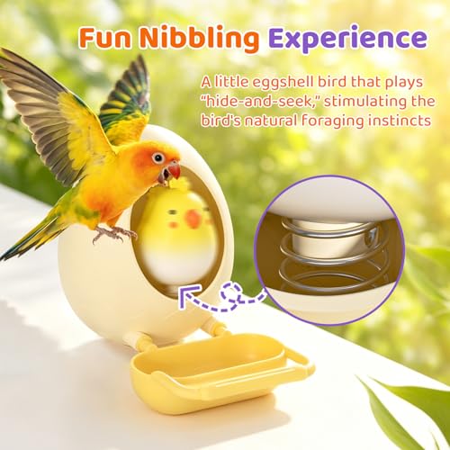 2-in-1 Bird Feeder&Chewing Toys,Parakeet Toys,Parrot Feeding Bowls Cups - color: Purple