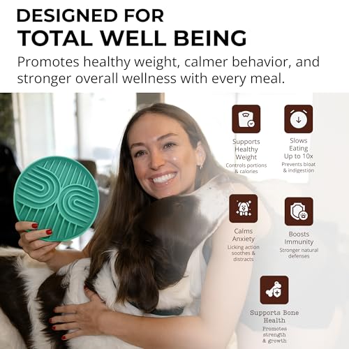 Silicone Slow Feeder Dog Bowls for Small Dogs & Puppies, Slow Eating Bowl - color: Sage