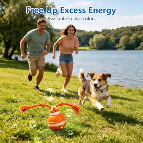 Interactive Dog Ball, 360° Self-Moving, USB-C, LED and Squeaker - color: orange