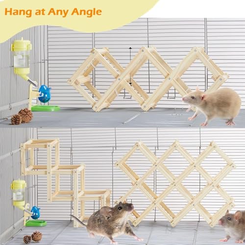 Kiln-Dried Wood Rat Climb Toy, Hanging Cage Ladder Activity (S, 1pc) - style: S, 1pc
