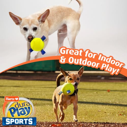 Hartz Dura Play Sports Football Dog Toy, Bacon Scented Squeaky Latex Yellow & Blue Toy, 1 Count - size: 1 Count, style: Football