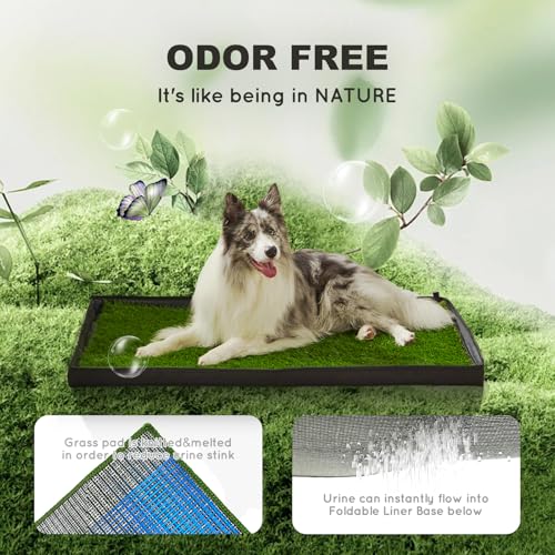 HQ4US 4LEGS Grass Pee Pads for Dogs Potty with Foldable Dog Litter Box - size: Large for Dog＜ 28" Length
