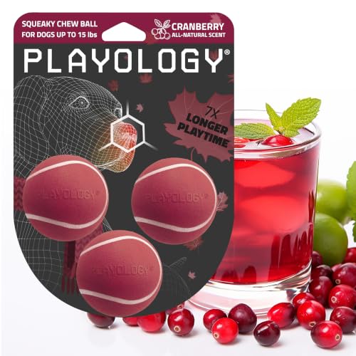 Playology Squeaky Chew Ball Dog Toy - Small, Cranberry Scent, 3-Pack - size: Small (VALUE 3-Pack), style: Cranberry