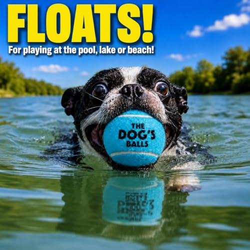The Little Dog’s Balls Small Dog Tennis Balls 6-Pack Blue Floats in Water - color: Blue, size: 6 Small Tennis Balls