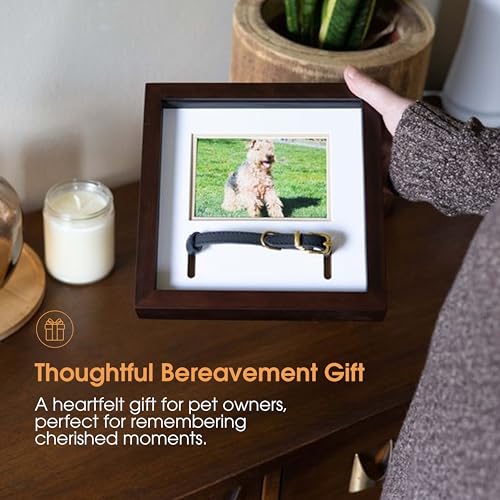 Pearhead Pet Collar Keepsake Picture Frame, Espresso - color: Espresso Collar Frame
