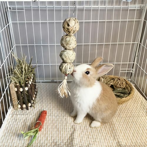 2Pcs Guinea Pig Chew Toys for Teeth Rabbit Grass Balls for Bunny Chinchilla - size: 2PCS(B)
