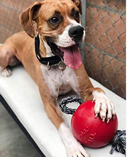 Jolly Pets Romp-N-Roll Rope & Ball Dog Toy, 6 in Medium, Red - color: Red, size: Medium (6 in)
