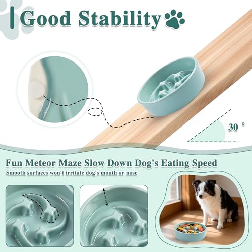 Ceramic Slow Feeder Dog Bowls, 0.6 Cups Dog Food Dish for Small Breed - color: Light Green-M