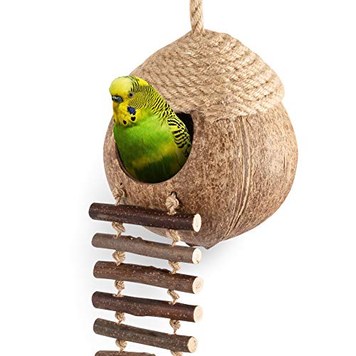 andwe Coconut Bird Nest Hut with Ladder
