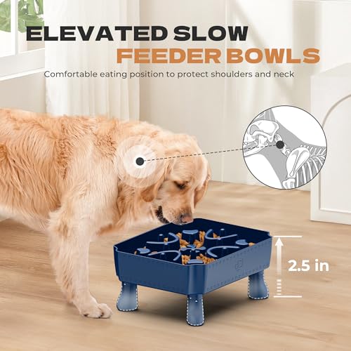 UPSKY Slow Feeder Dog Bowl with Raised Design for Healthy Eating Blue