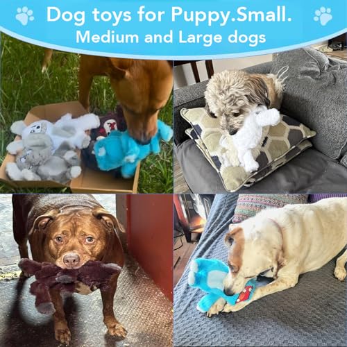 No Stuffing Dog Squeaky Toys,Tough Chew Toys for Small Medium Large Dogs - style: 5 Pack
