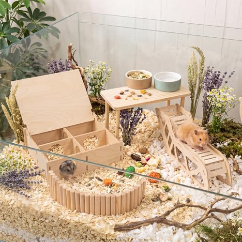 BreezeHug 4 Pcs Hamster Cage Accessories Hamster Platform Toy, Enclosure - style: Enclosure