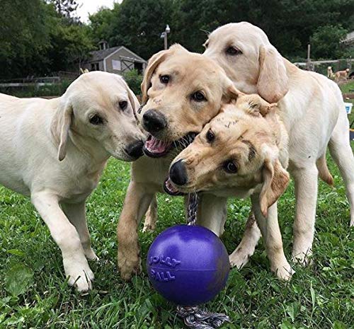 Jolly Pets Romp-N-Roll Rope & Ball Dog Toy, 6 in Medium, Purple - color: Purple, size: Medium (6 in)