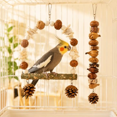 2 Pack Natural Bird Toys for Parakeets, Bird Chew Toys with Wooden Perch HangingToy, Natural Wood Beads, Pine Cone, Corn Husk, Cuttlebone and Fruit Materials for Budgies, Cockatiels and Small Parrots