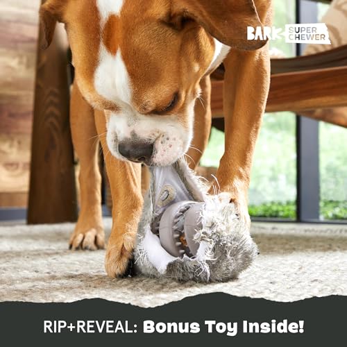 BarkBox Hare Raiser Super Chewer - 2-in-1 - Toy for Medium to Large Dogs - color: Hare - Large