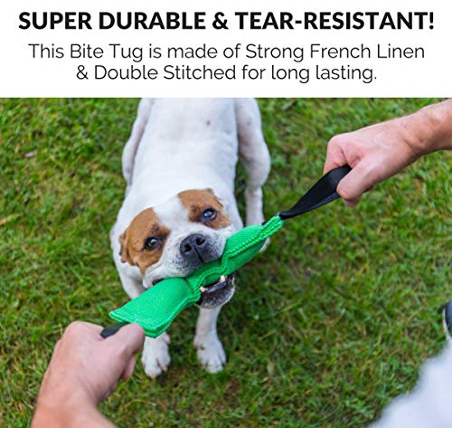 Bull Fit K9 Dog Bite Tug Toy with 2 Strong Handles - Made of Durable & Tear-Resistant French Linen - Perfect for Tug of War, Fetch & Puppy Training - Ideal for Medium to Large Breeds - color: Pink