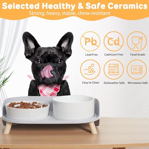 Elevated Slow Feeder Dog Bowls with Splash Proof Stand, Slow Eating 5X - color: White