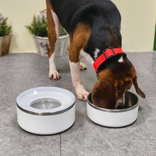 WENBOKMIN Stainless Steel Dog Water Bowl No Spill Detachable, 64oz, White | Slow Drinking Dog Bowls with Non Slip Bottom, Easy to Clean, Keep Xerosis Pilorum - color: White