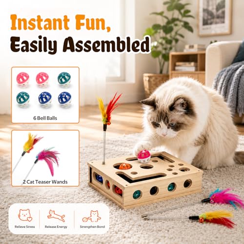 Cat Toys for Indoor Cats - Interactive Box Puzzle Toy Nail File Scratcher