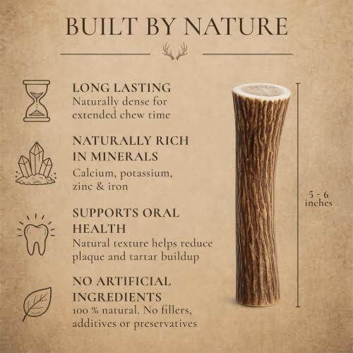 WhiteTail Naturals 2 Pack Whole Deer Antlers for Medium Dogs - 5-6 Inches - size: Medium (Pack of 2)
