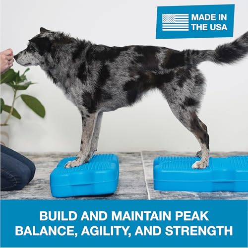 Blue-9 Propel Dog Training Platform Kit, Balance, Stability, Pink, 2-Pack - color: Pink