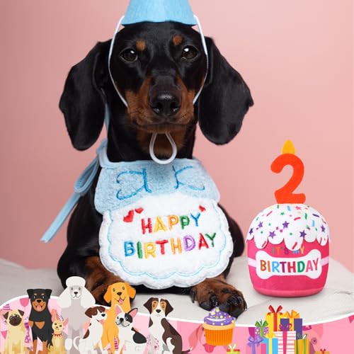 Dansydaisy Dog Birthday Cake Toy Squeaky Plush Gift,2nd,Pink - color: Pink, style: 2nd