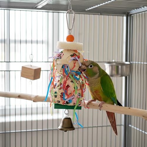 Bird Toys, 2pcs Set for Small & Medium Parrots