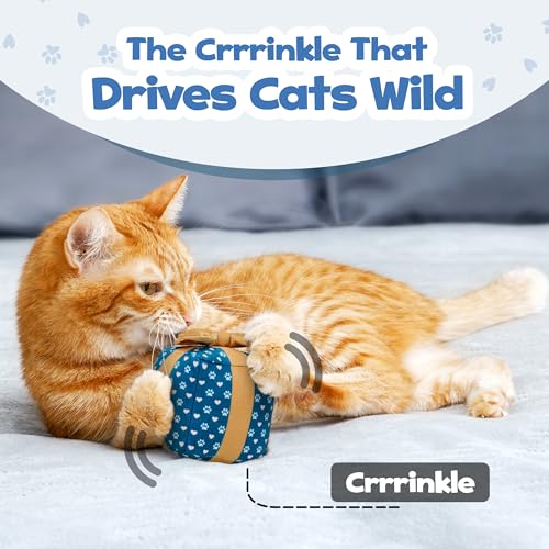 PUPROAR Gift Box Cat Birthday Toy, Plush Catnip & Crinkle Kitten Gift for Indoor Cats & Kittens