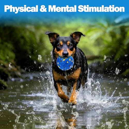 Mity rain 4PCS Floating Dog Toys –E-TPU Water Pool Fetching Toy