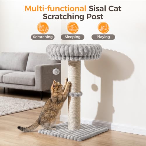 Avont Modern Cloud Cat Scratching Post with Perch for Indoor Adult Cats - color: Lightgrey